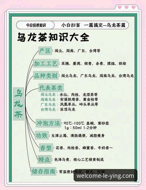 3大关键策略助您高效掌控乐盈平台：从入门到精通的完整指南