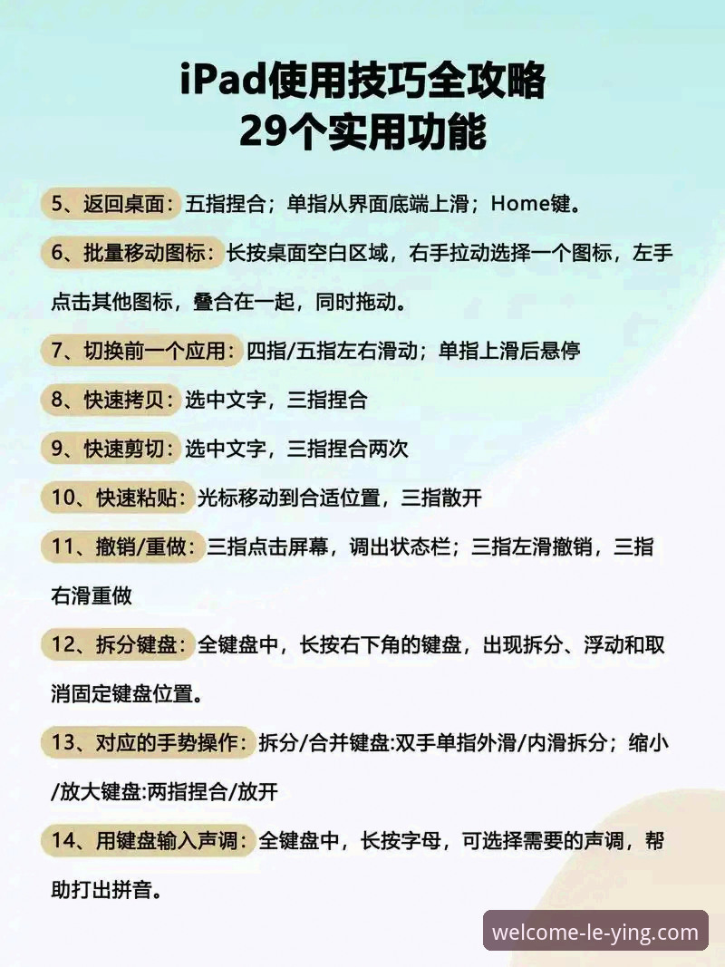 乐盈平台使用教程哪个好？新手必看的全面评测与实操指南